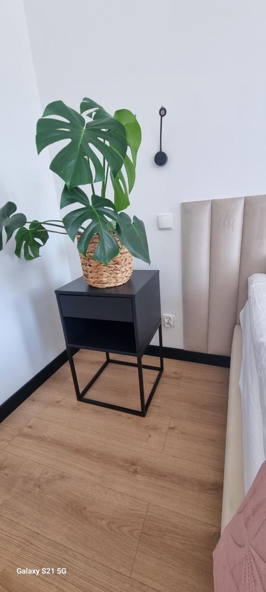 Apartament Moje Dabrowno Kültér fotó