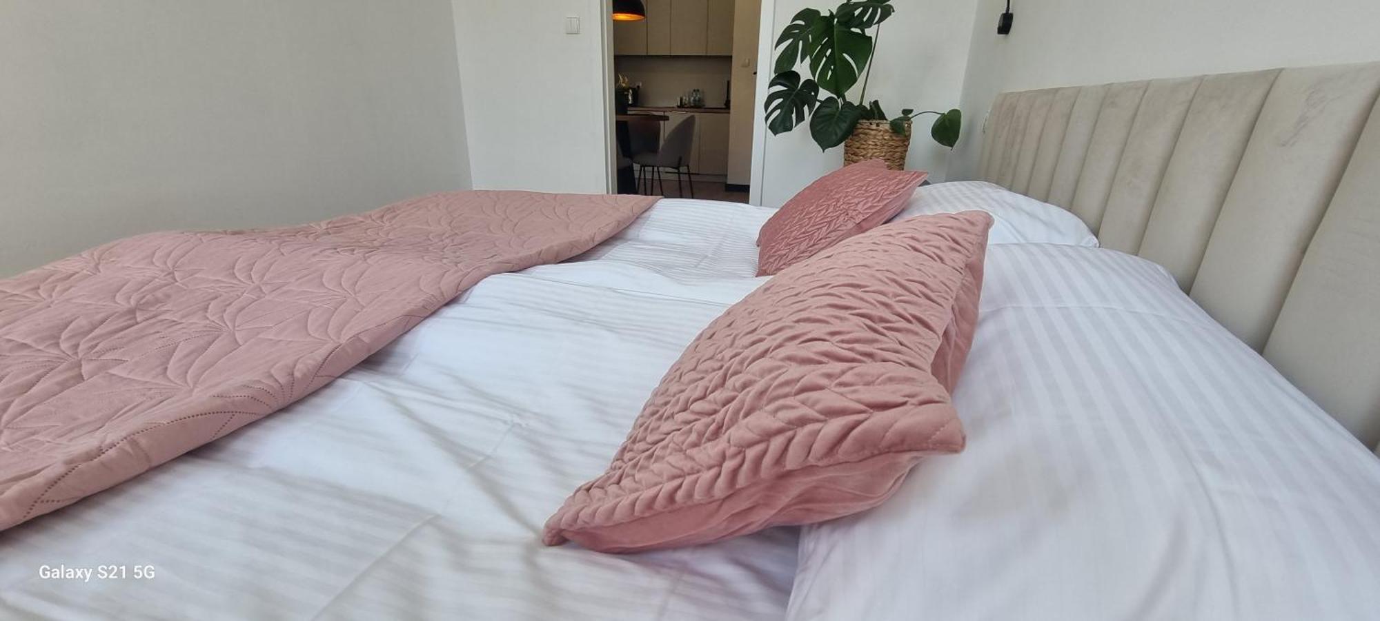 Apartament Moje Dabrowno Kültér fotó